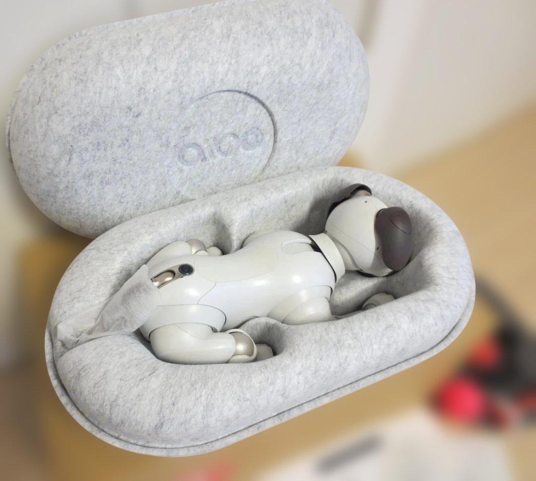 ★Sony aibo ERS-1000 aibo（アイボ）★