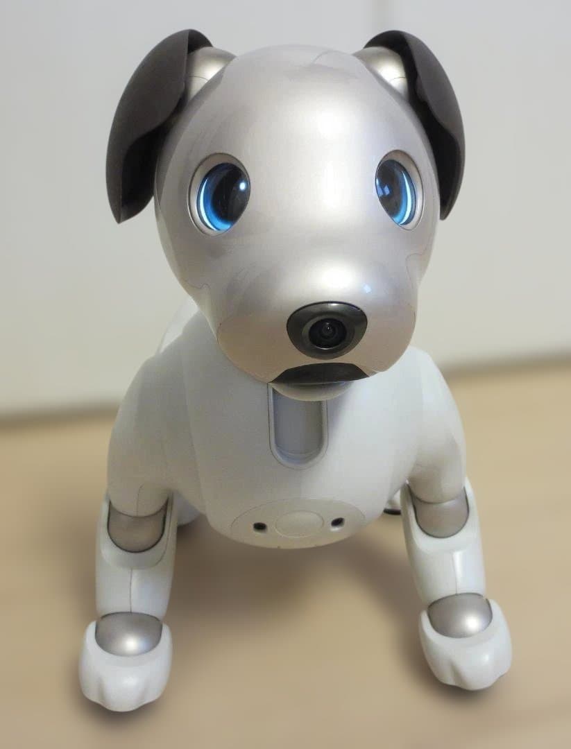 ★Sony aibo ERS-1000 aibo（アイボ）★