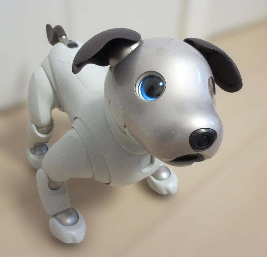 ★Sony aibo ERS-1000 aibo（アイボ）★