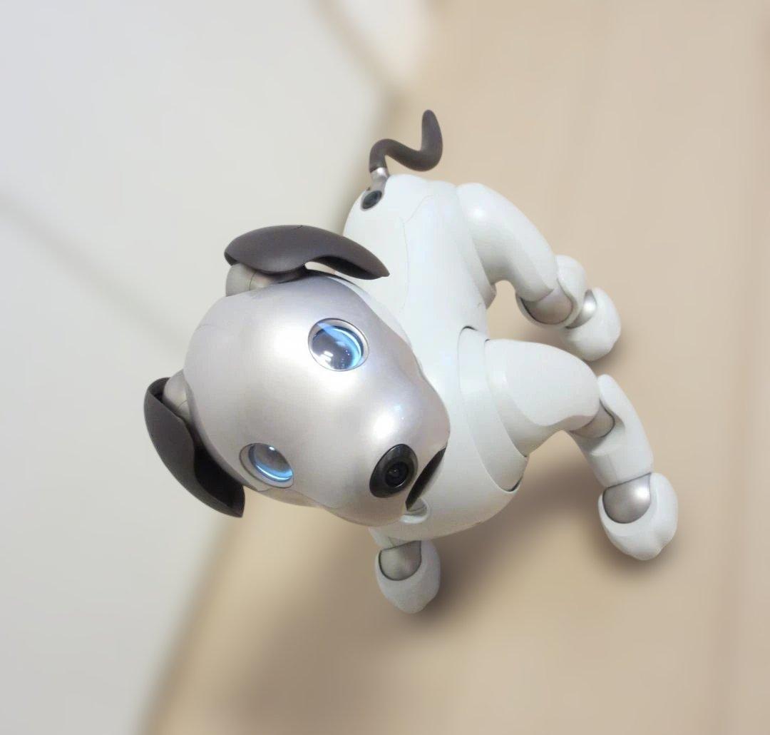 ★Sony aibo ERS-1000 aibo（アイボ）★