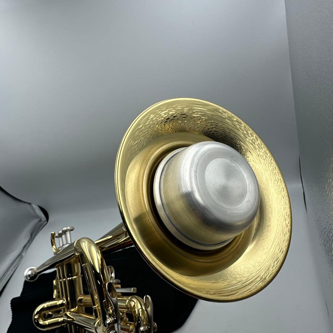 ①BQKOZFIN トランペット 初心者入門セット