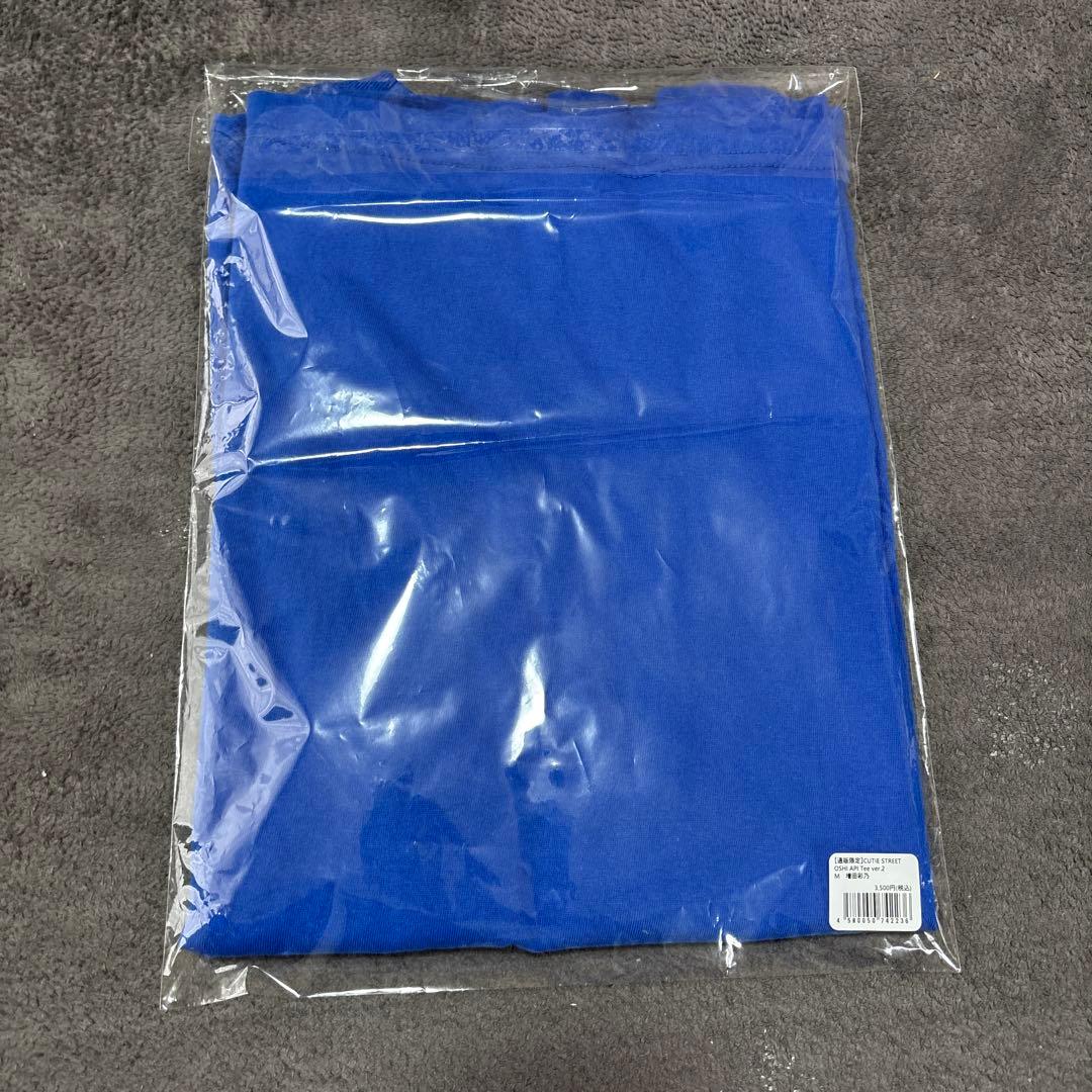 おまけ付き!! 増田彩乃 きゅーすと Tシャツ ちびぬい セット