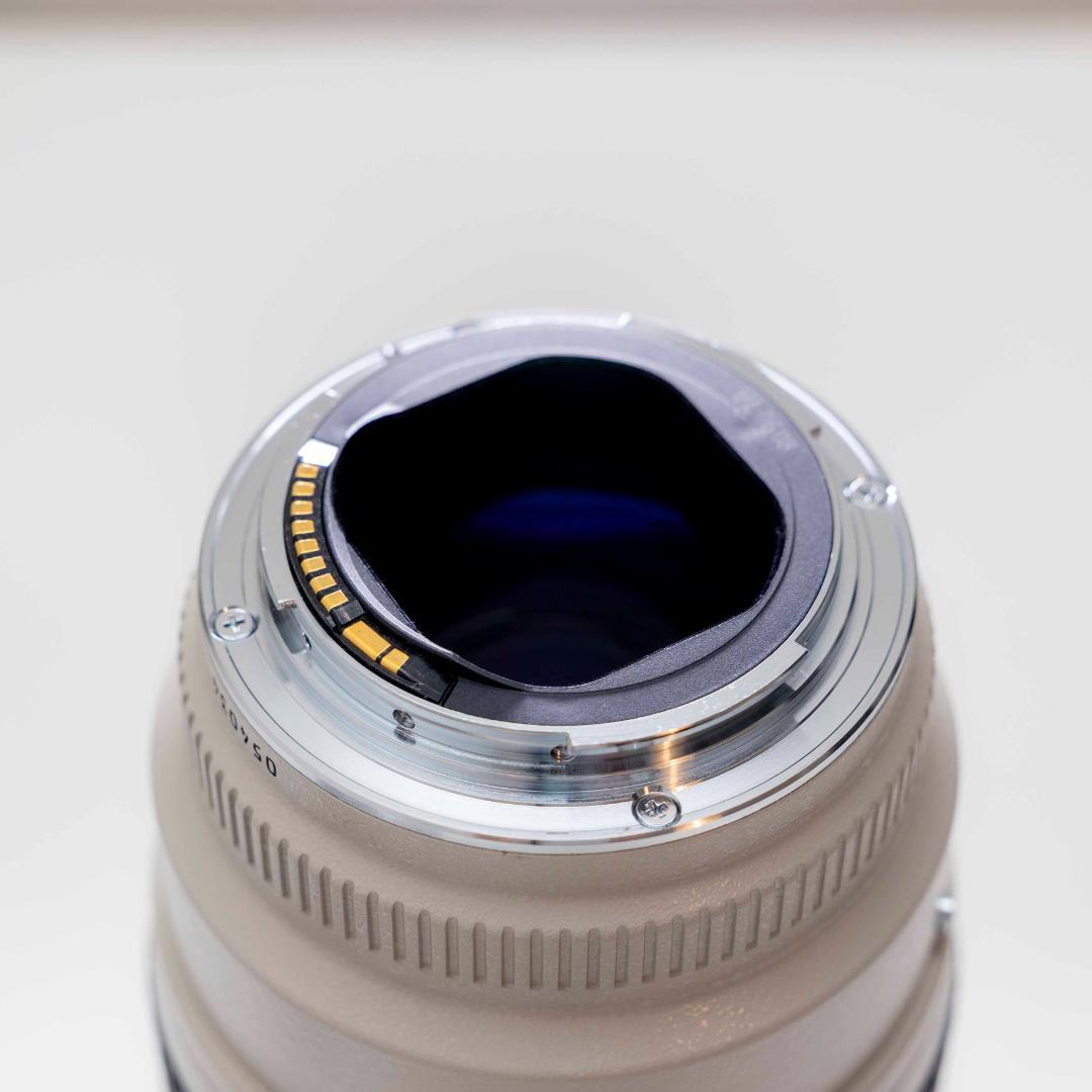 【美品・試写有】Canon EF 70-200mm f/2.8L USM