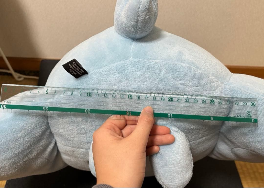 ポケモンセンター トゲキッス Pokemontime ポケモンタイム ぬいぐるみ