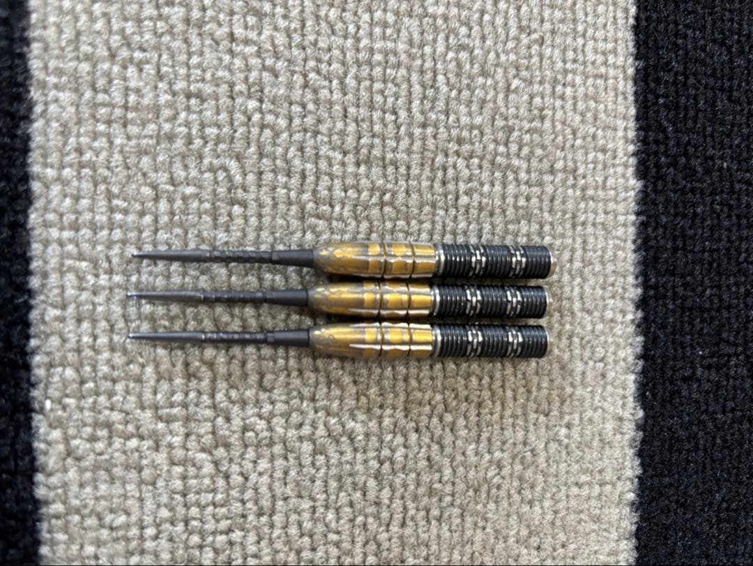 パイロ G11 星野光正モデル スイスポイント 22g