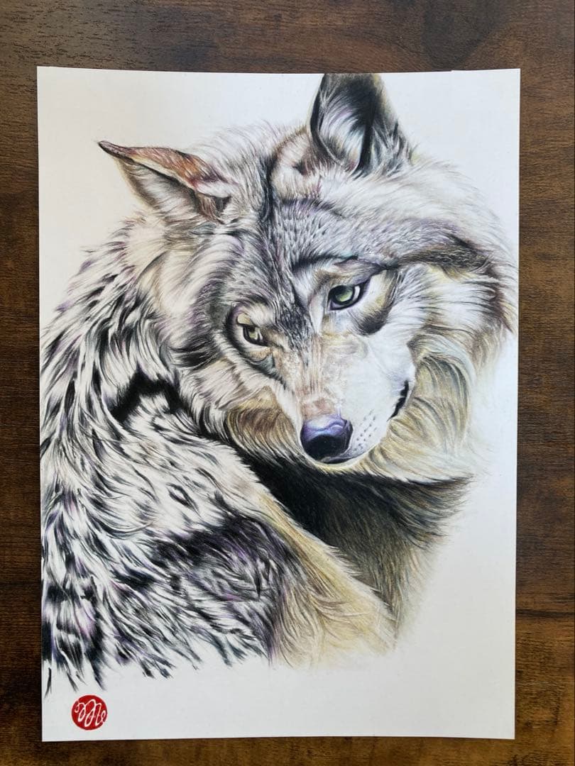 色鉛筆画 オオカミ２