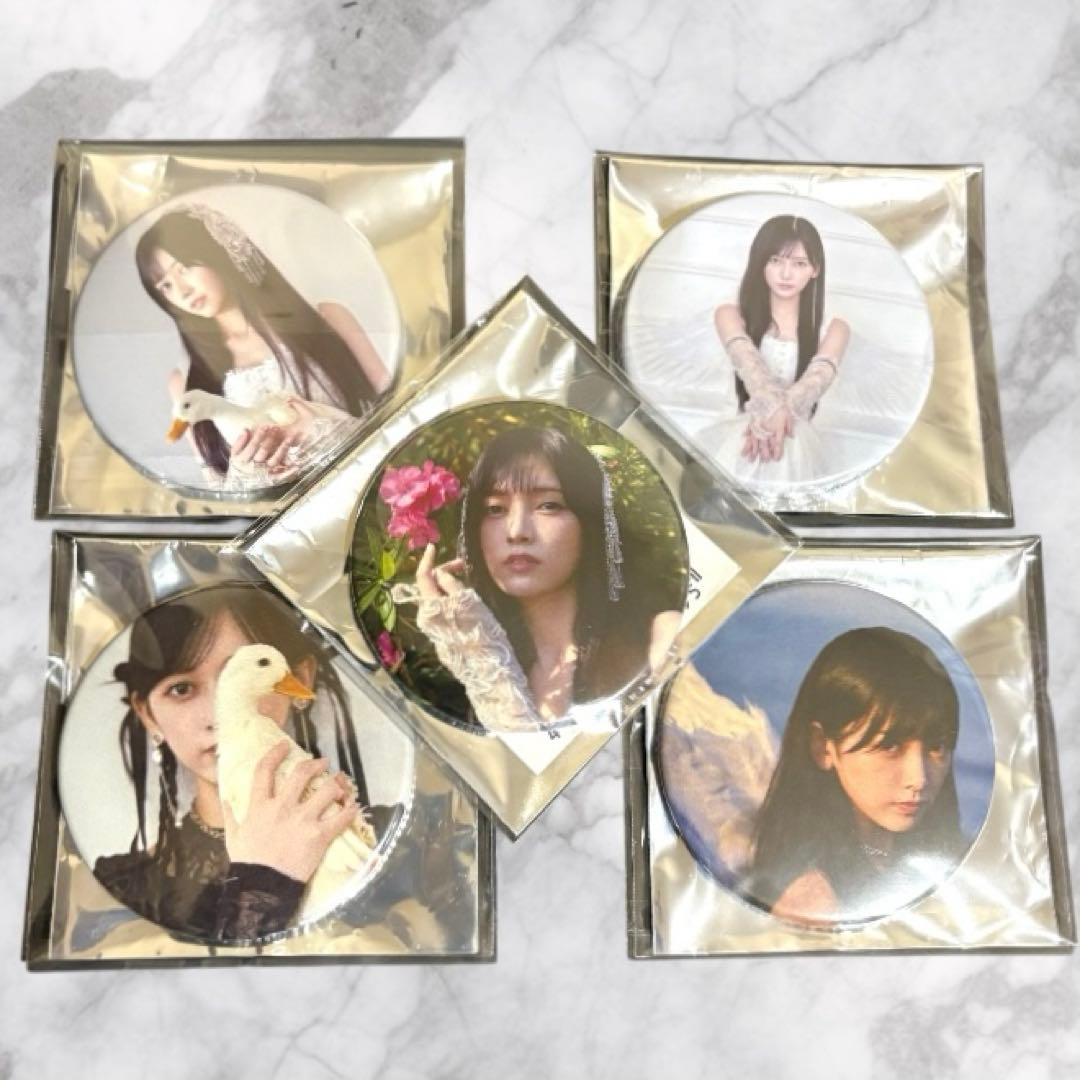 乃木坂46 池田瑛紗　個展 Wings : あひるの夢　缶バッジ　5コンプ