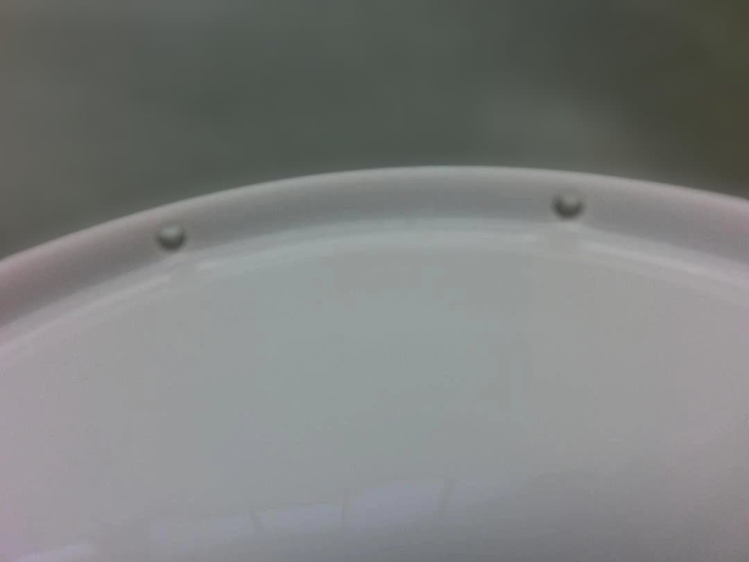 『ロイヤルコペンハーゲン』2010・イヤープレート