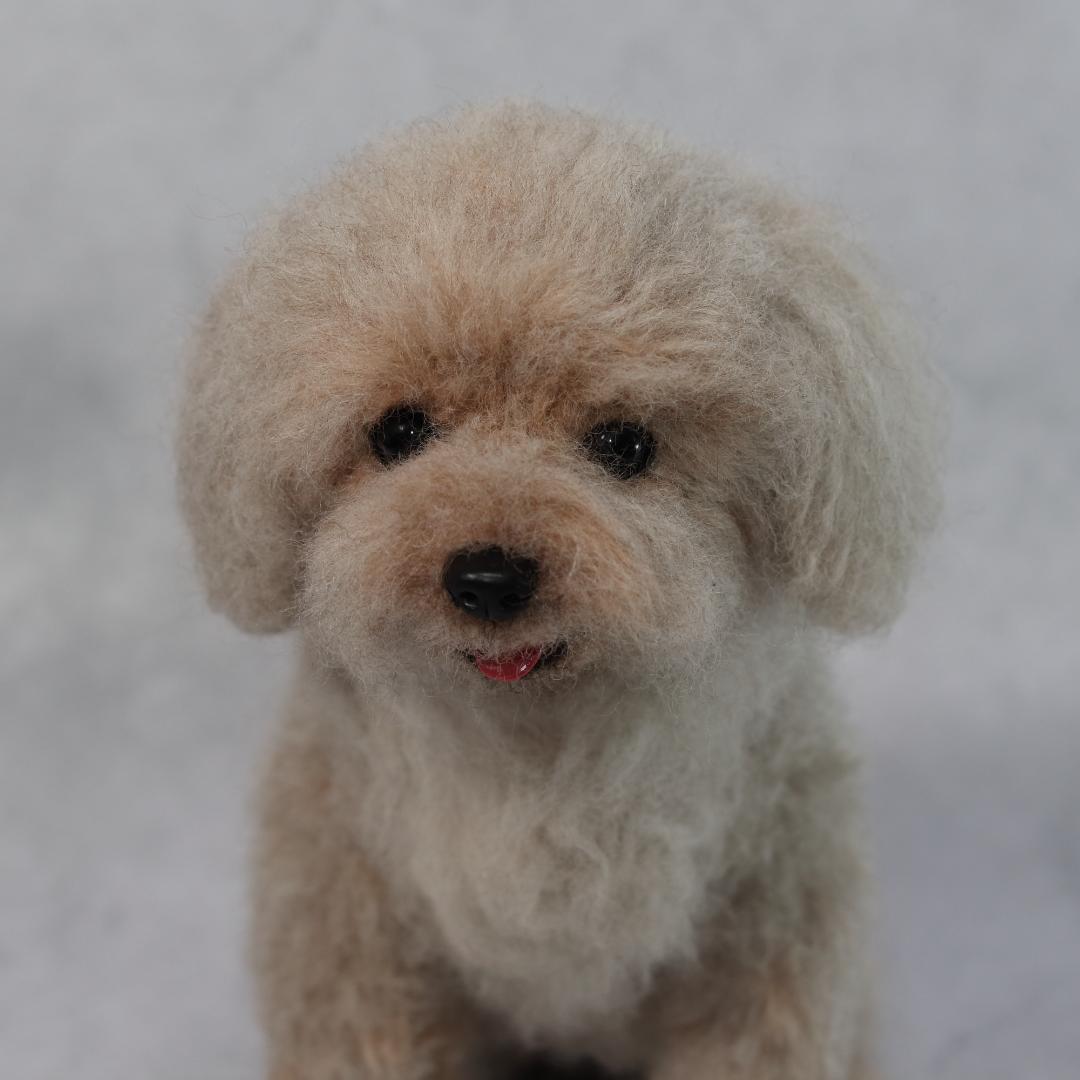yuさま専用　羊毛フェルト　犬　トイプードル　オーダー