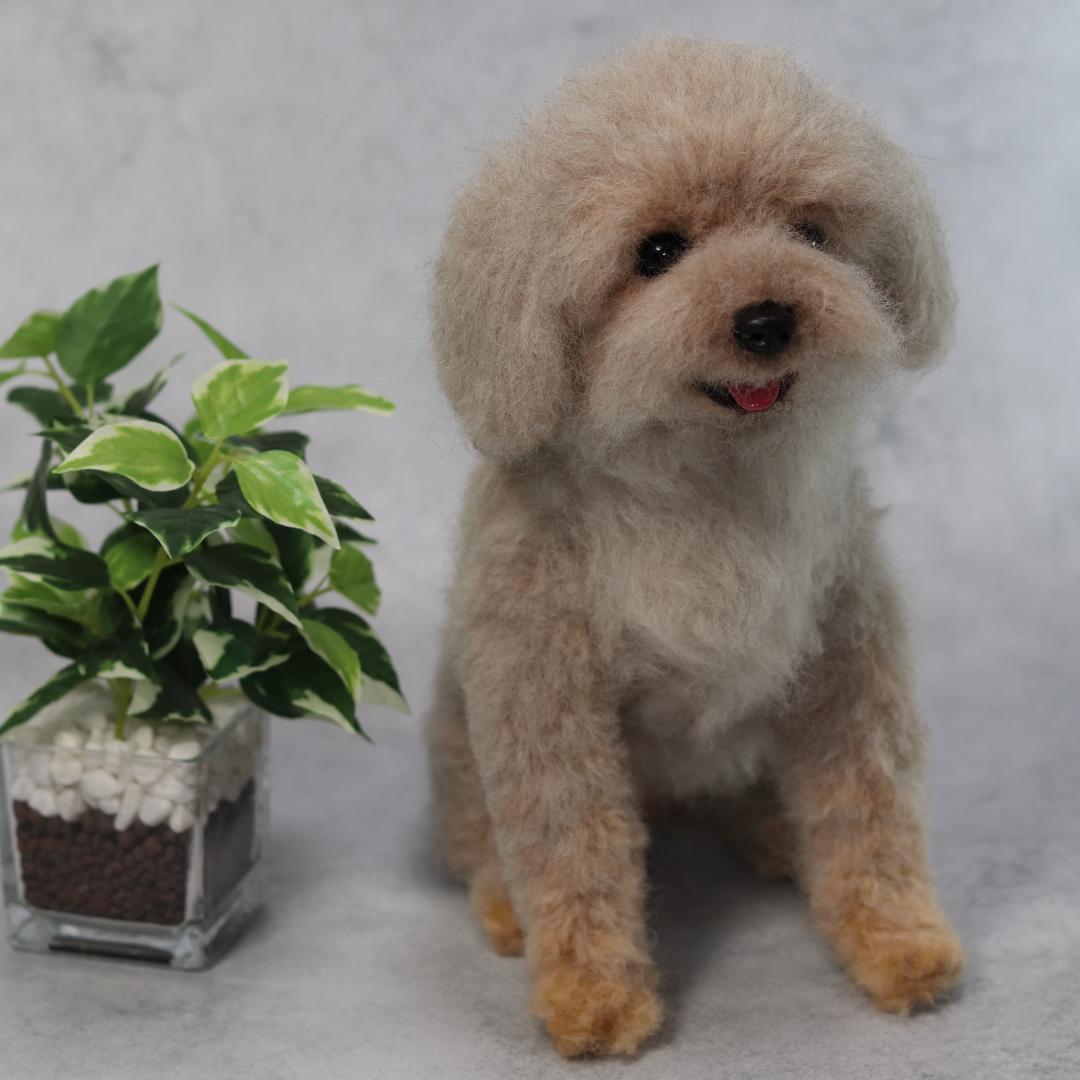 yuさま専用　羊毛フェルト　犬　トイプードル　オーダー