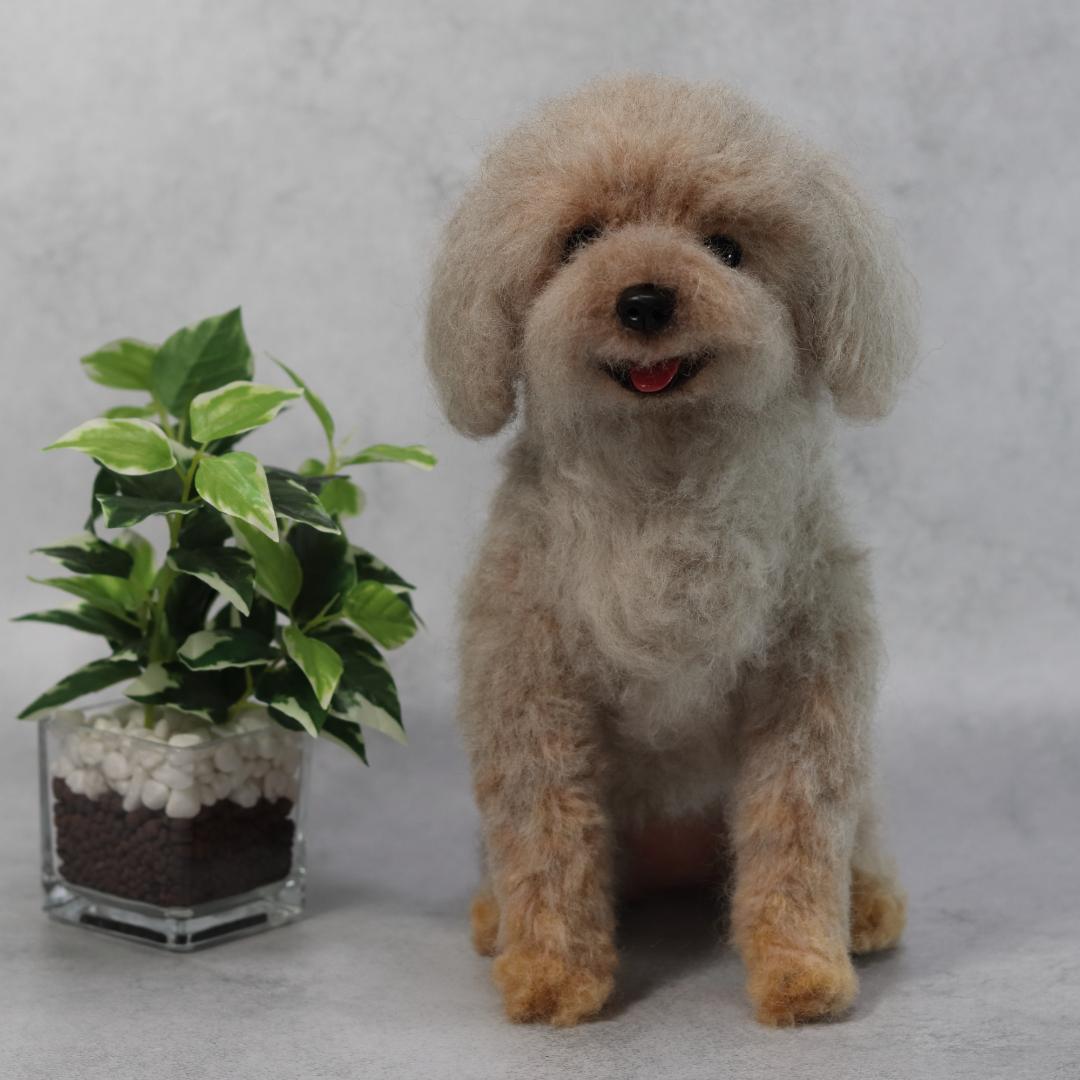 yuさま専用　羊毛フェルト　犬　トイプードル　オーダー