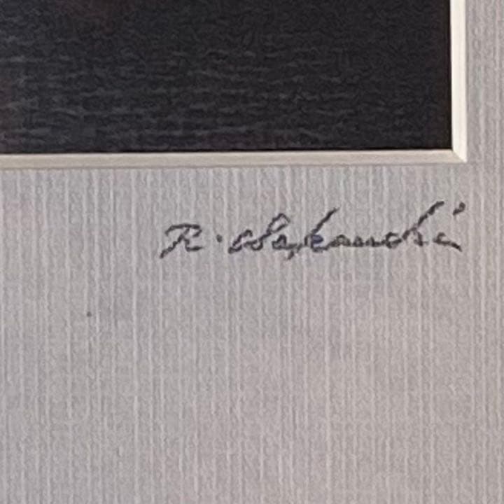 ふくろう　みみずく　絵画　阪内隆治　Steel Picture