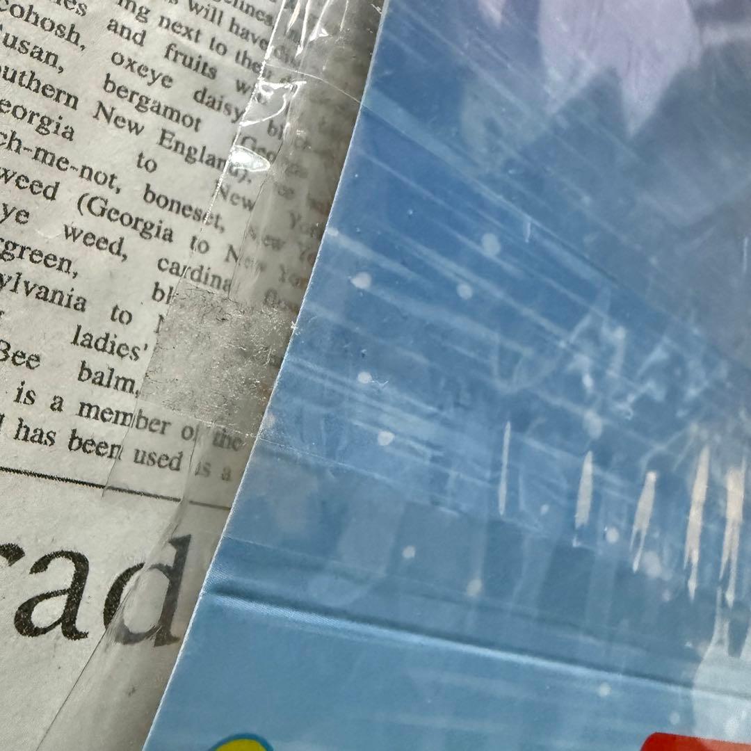 ワンピース　Run!Run!コレクション　エース　サボ　ルフィ　ONEPIECE