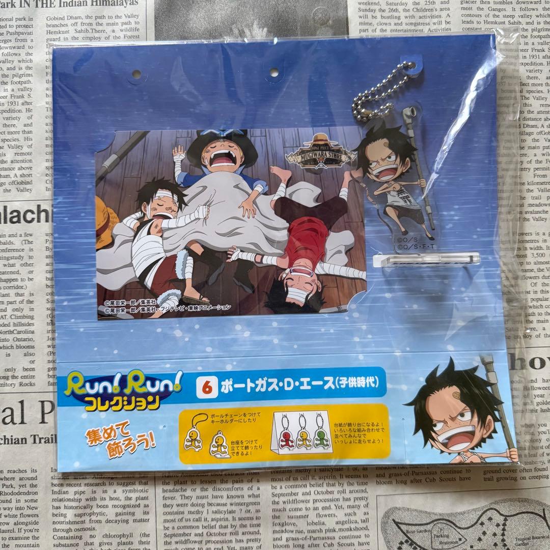 ワンピース　Run!Run!コレクション　エース　サボ　ルフィ　ONEPIECE