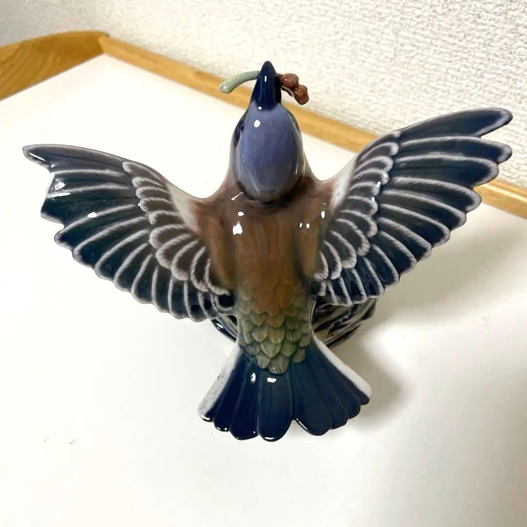 ・D.・Birds nest・[Ｂ＆Ｇmodel master]希少