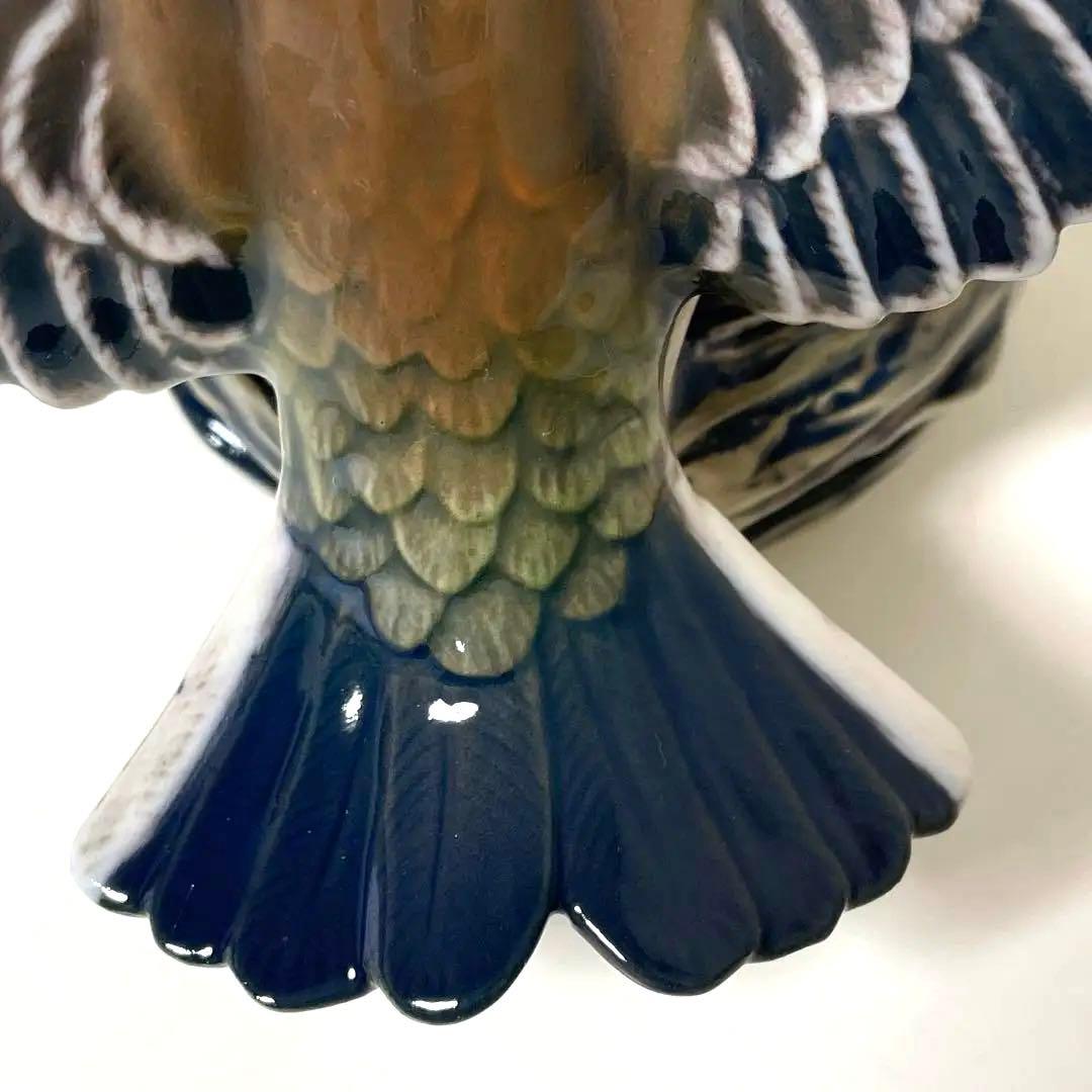 ・D.・Birds nest・[Ｂ＆Ｇmodel master]希少