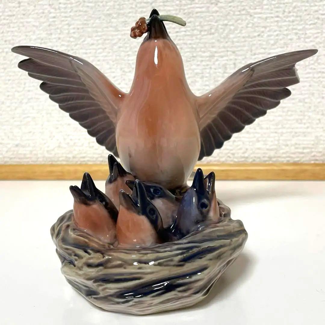 ・D.・Birds nest・[Ｂ＆Ｇmodel master]希少