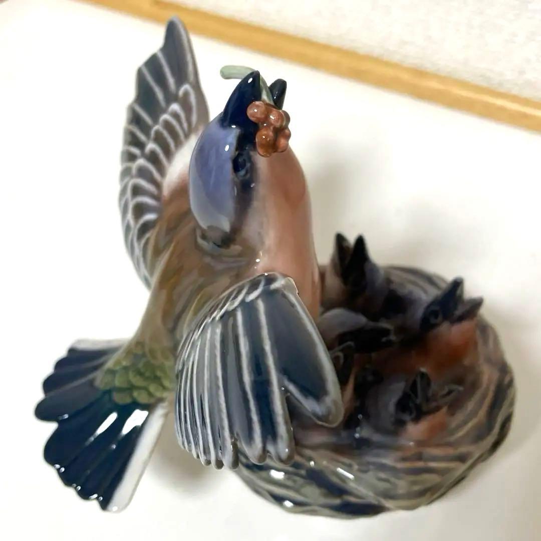 ・D.・Birds nest・[Ｂ＆Ｇmodel master]希少