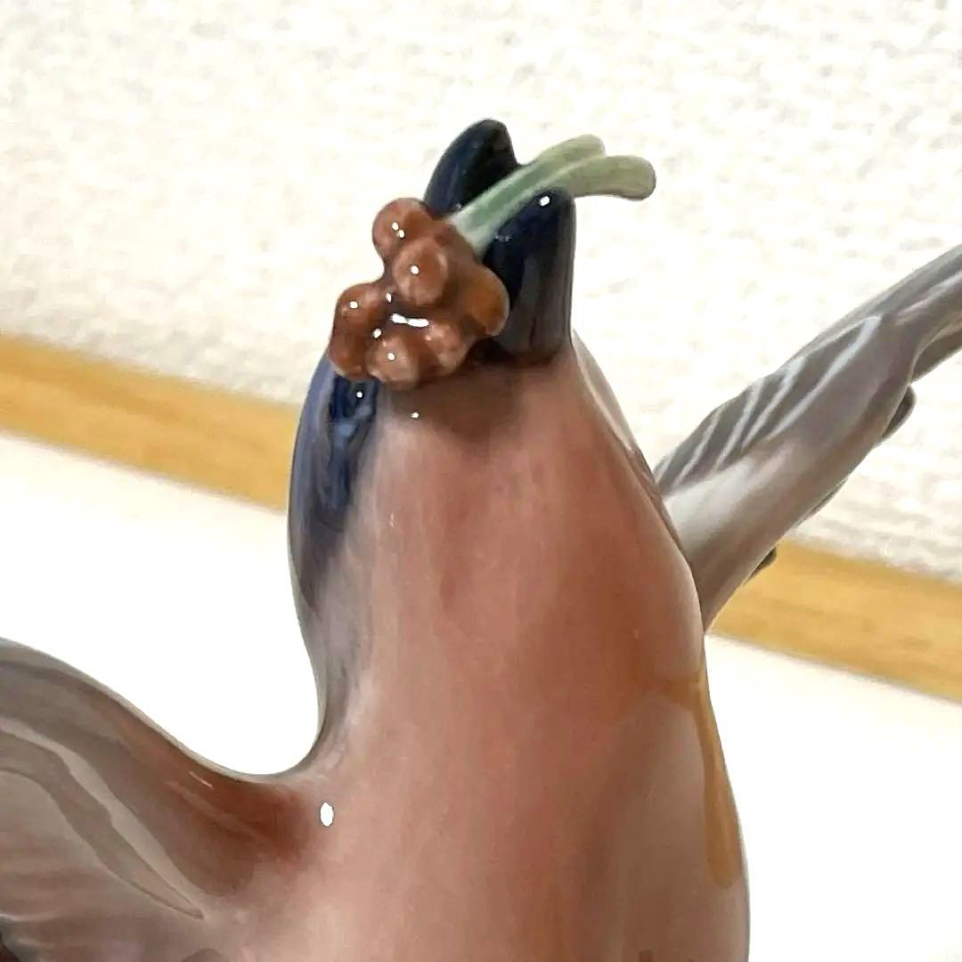 ・D.・Birds nest・[Ｂ＆Ｇmodel master]希少