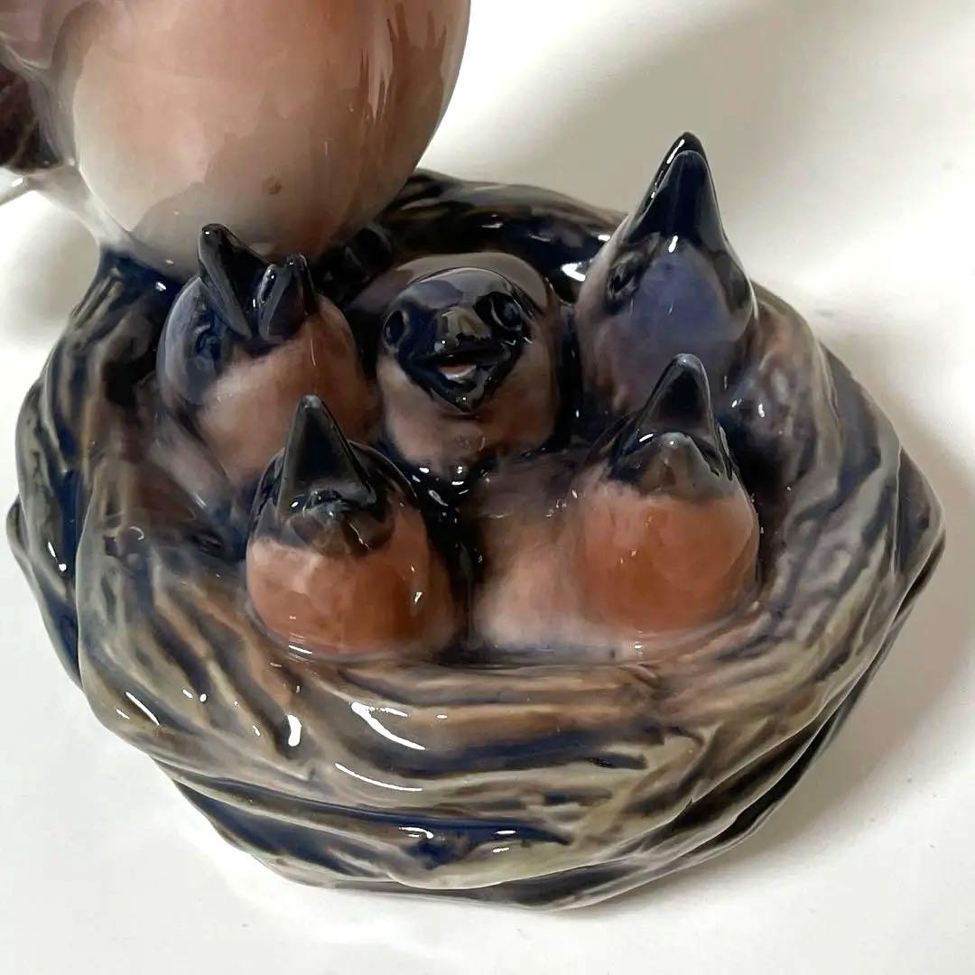 ・D.・Birds nest・[Ｂ＆Ｇmodel master]希少