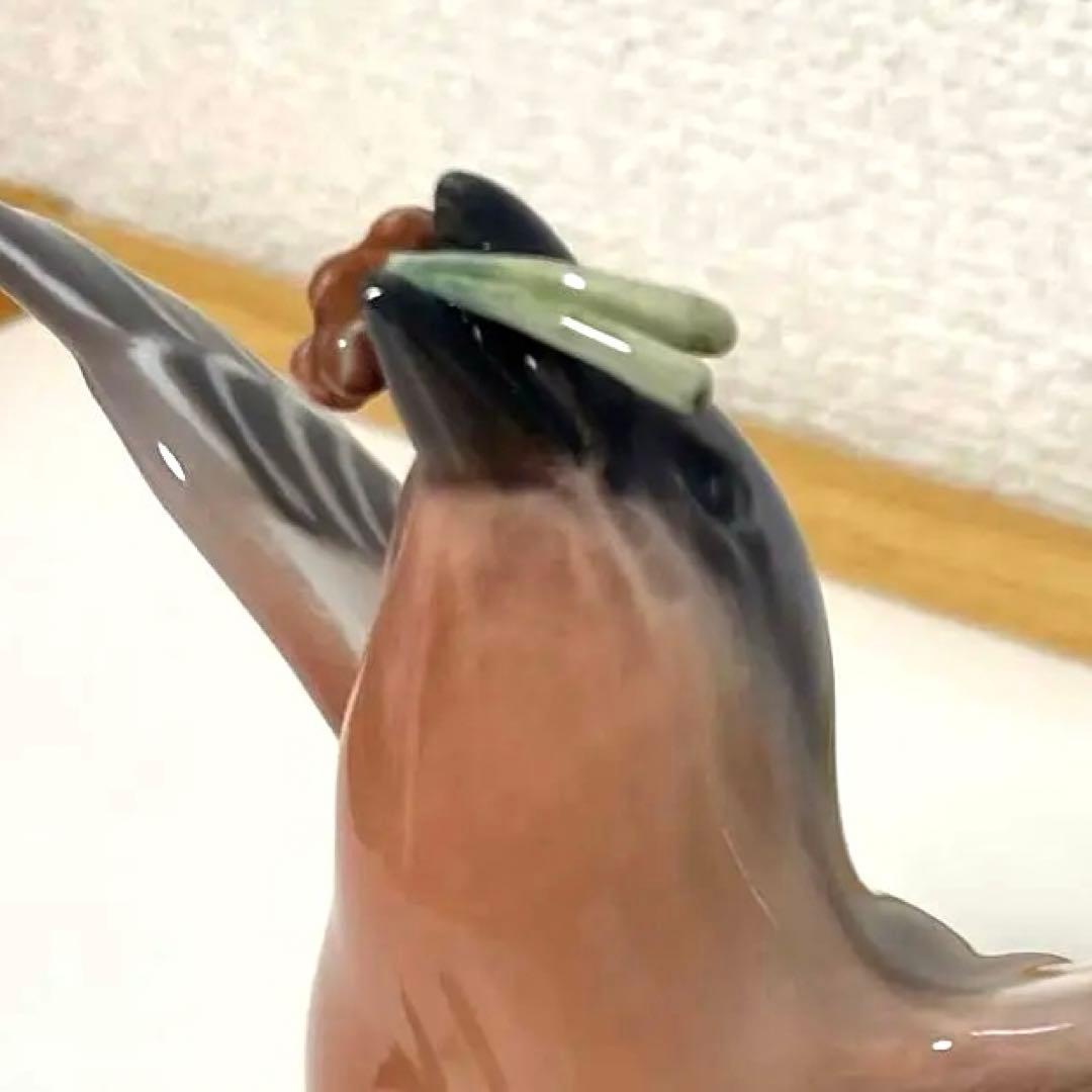 ・D.・Birds nest・[Ｂ＆Ｇmodel master]希少