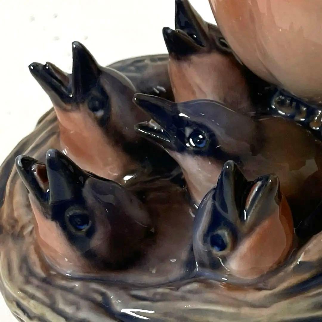 ・D.・Birds nest・[Ｂ＆Ｇmodel master]希少