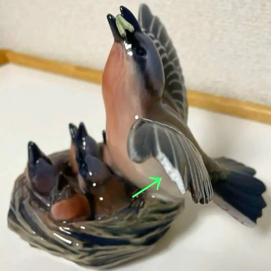 ・D.・Birds nest・[Ｂ＆Ｇmodel master]希少