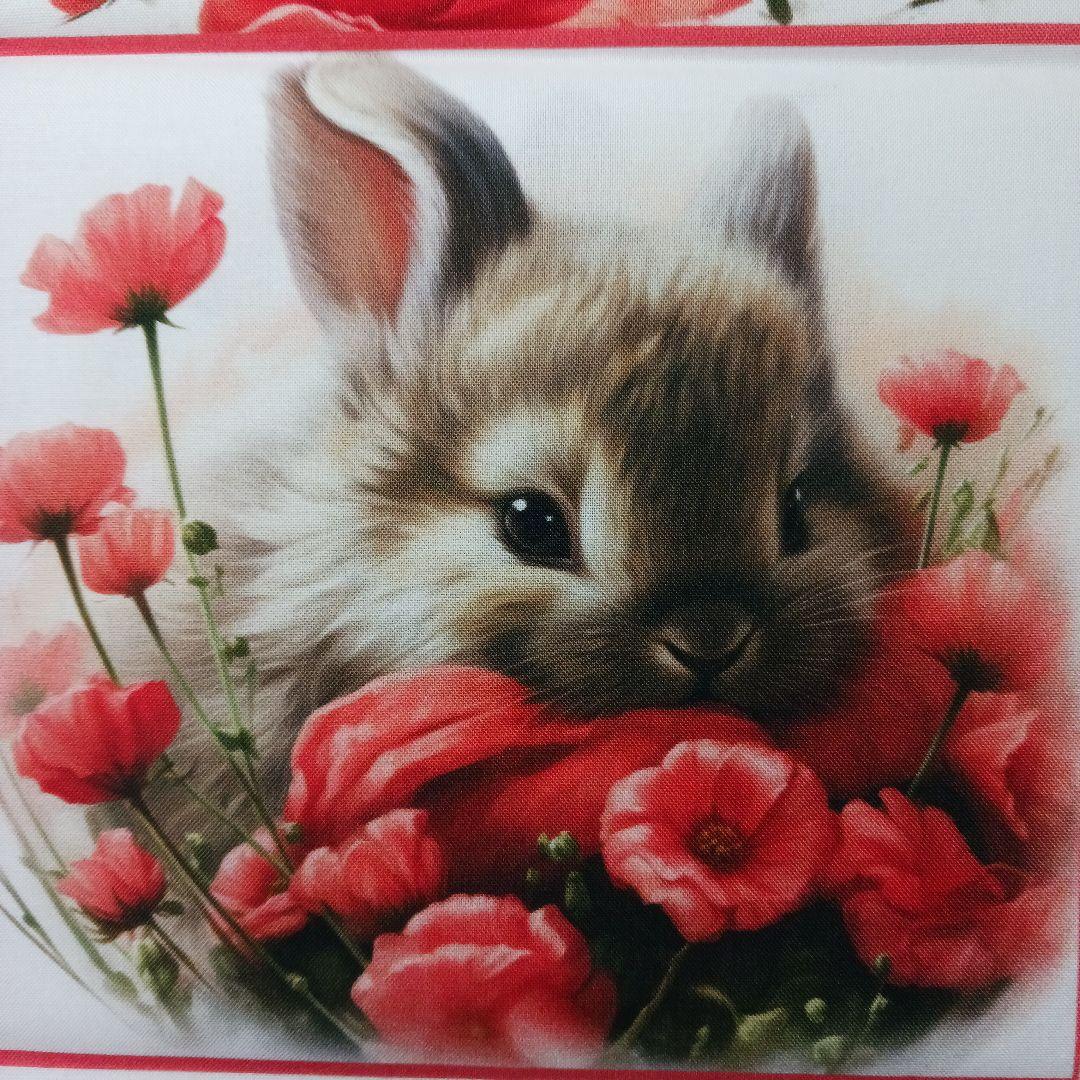 ご予約受付ページ　ウサギパネル