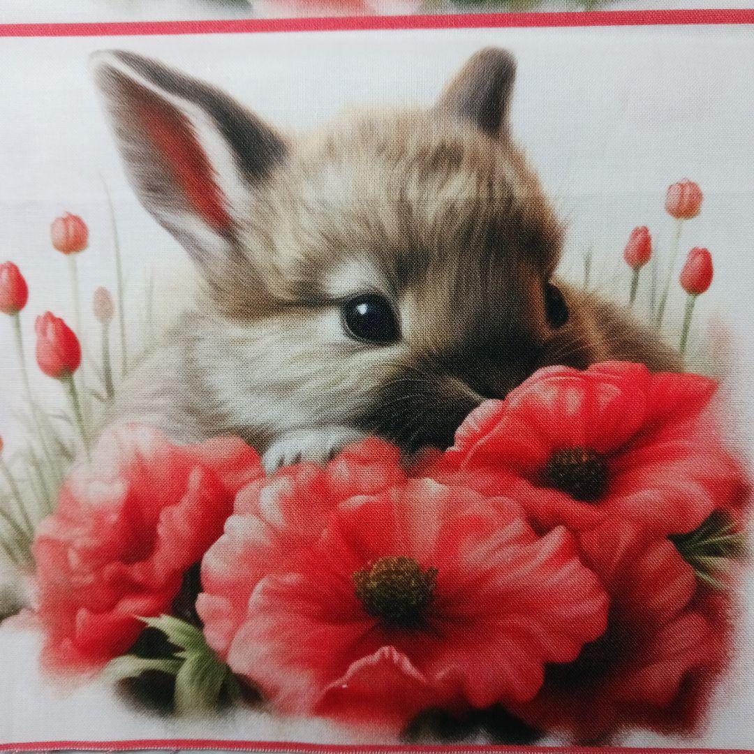 ご予約受付ページ　ウサギパネル