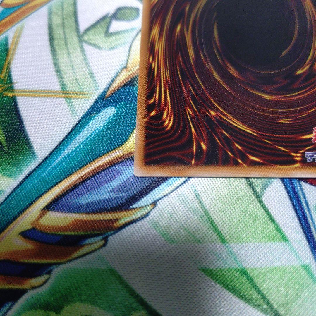 遊戯王　IPマスカレーナ　プリズマティックシークレットレア　絵違い