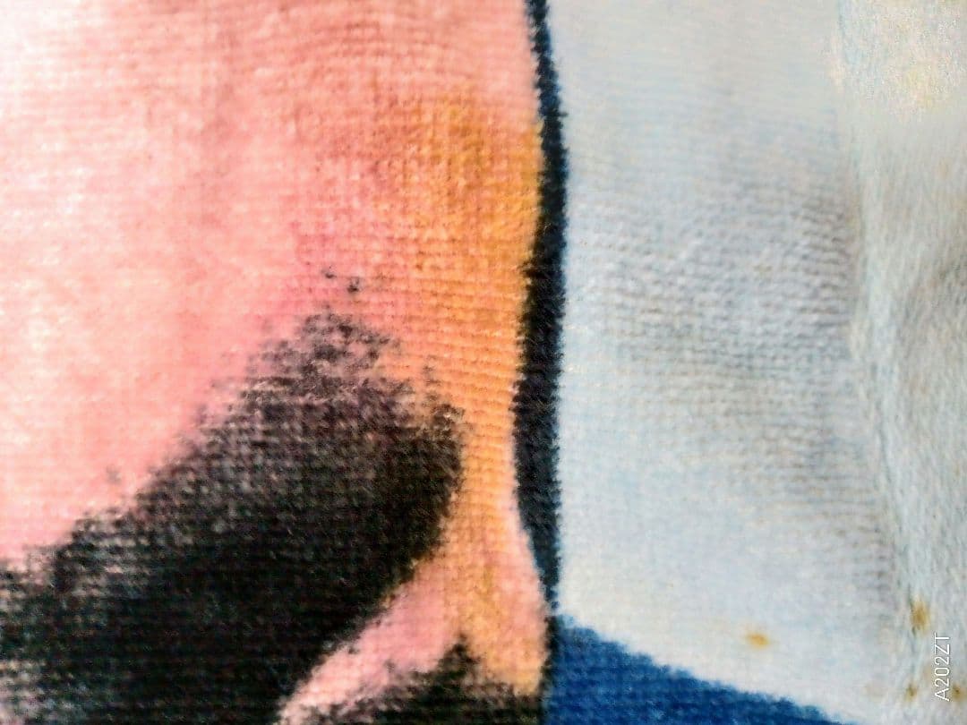 富士山頂ライブ タオル 2015年8月22日