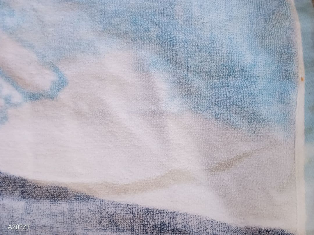 富士山頂ライブ タオル 2015年8月22日