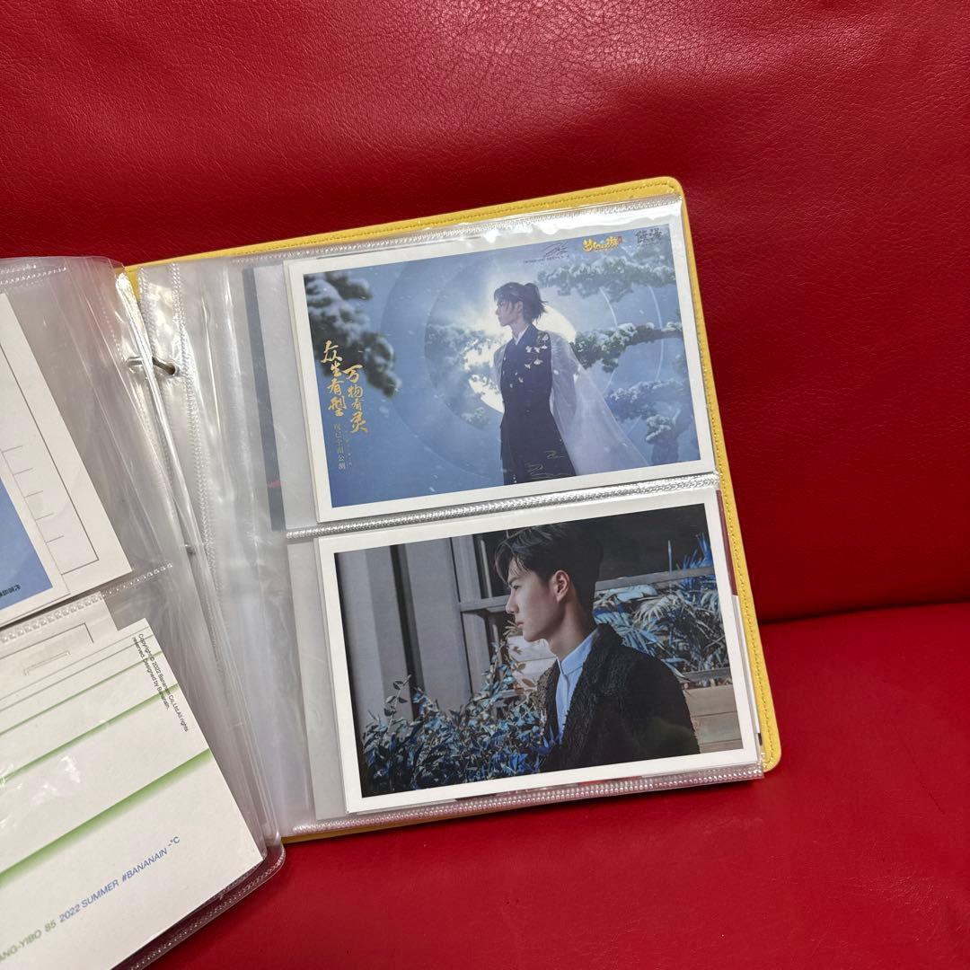 王一博ポストカード　100枚収納冊付き