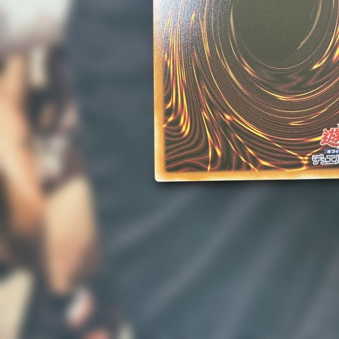 【即日発送メルカリ便】黒魔導のカーテン　オーバーフレーム プリシク