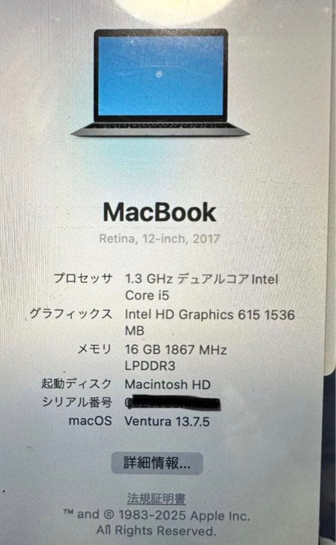 高スペック MacBook2017 12インチ 16G 256GB