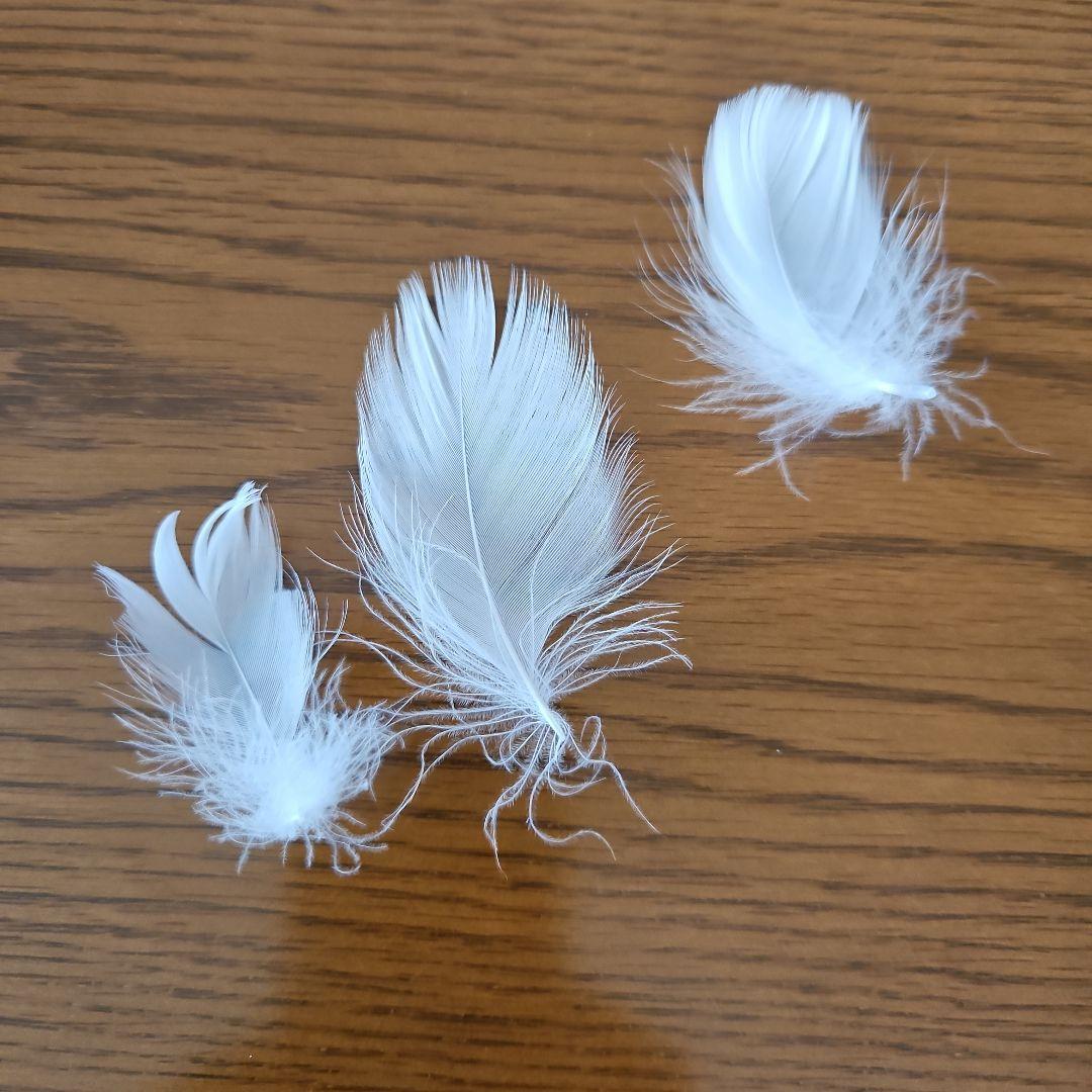 Man ON ペンライト 落下物セット