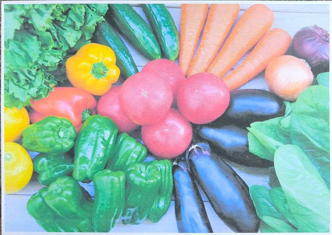 【動作確認済】brother A3対応 PRIVIO MFC-J6983CDW