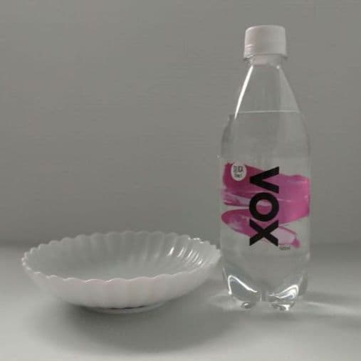 京都 たち吉 菊寿 白菊 菊割 白磁 菊割皿 中皿 深皿 銘々皿 五客揃