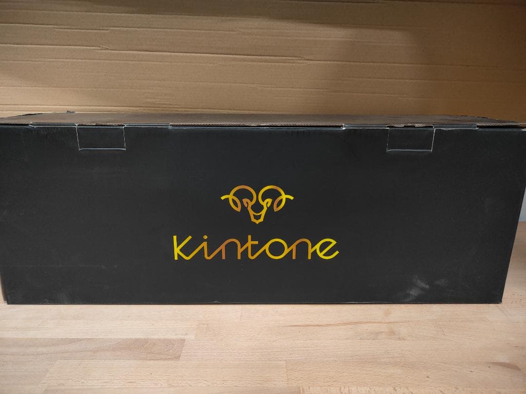 Kintone ハンドルなし電動スクーター