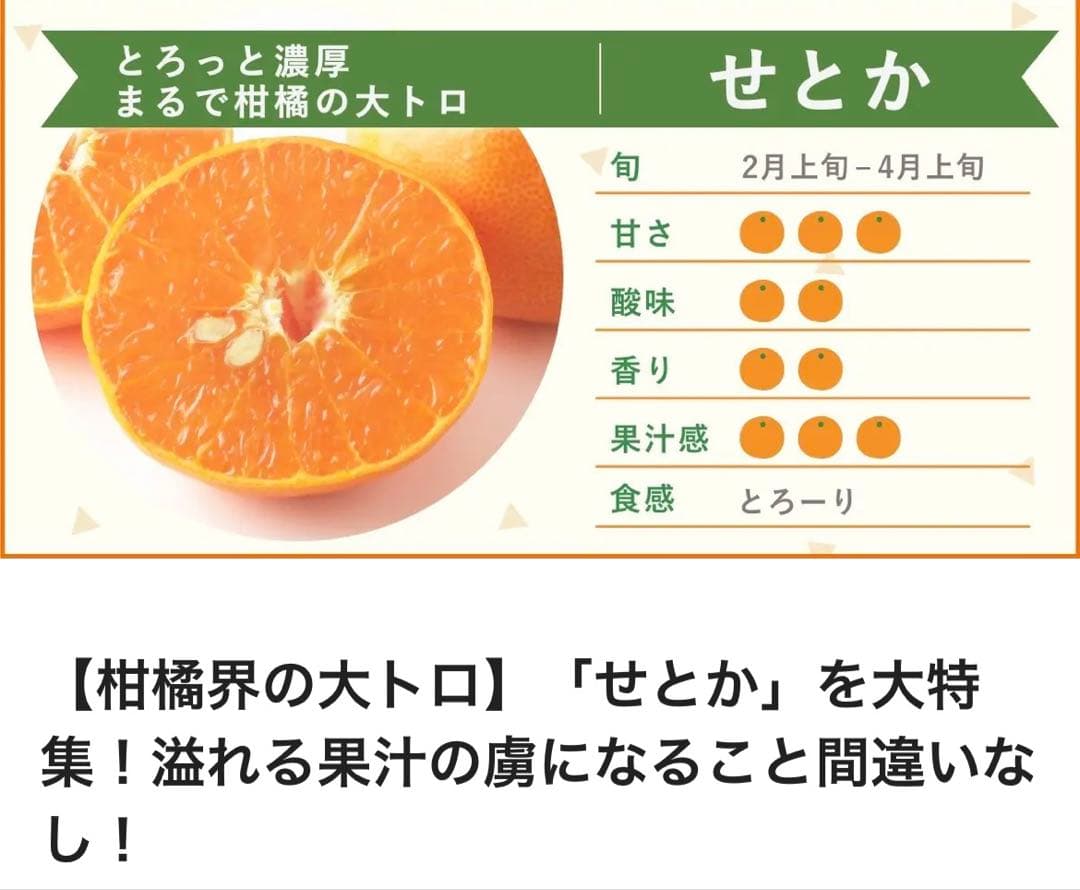 せとか苗　3年生