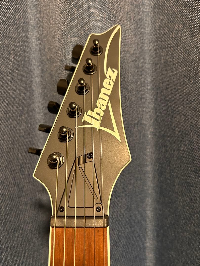 ギター Ibanez / RG421EX Black Flat (BKF)