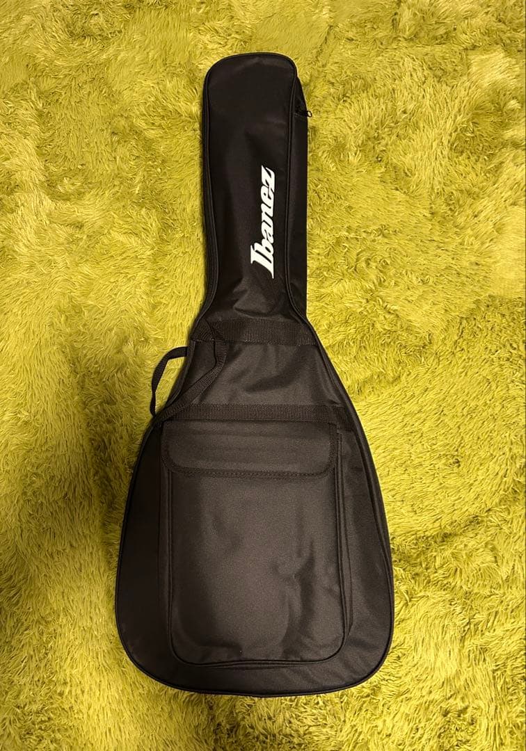 ギター Ibanez / RG421EX Black Flat (BKF)