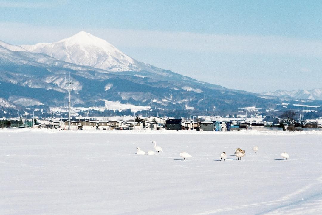 【実写確認整備品】アサヒペンタックスSLB/K・スーパータクマー35mmf3.5