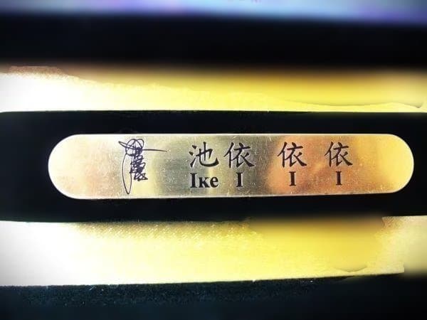 池依 依依 神の馬 アート作品・生命の感動