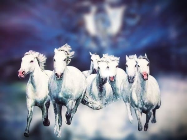 池依 依依 神の馬 アート作品・生命の感動