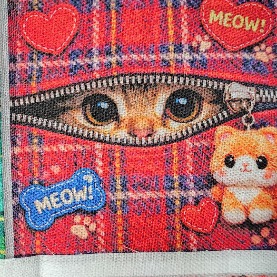 猫ちゃんパネルオーダー受付中