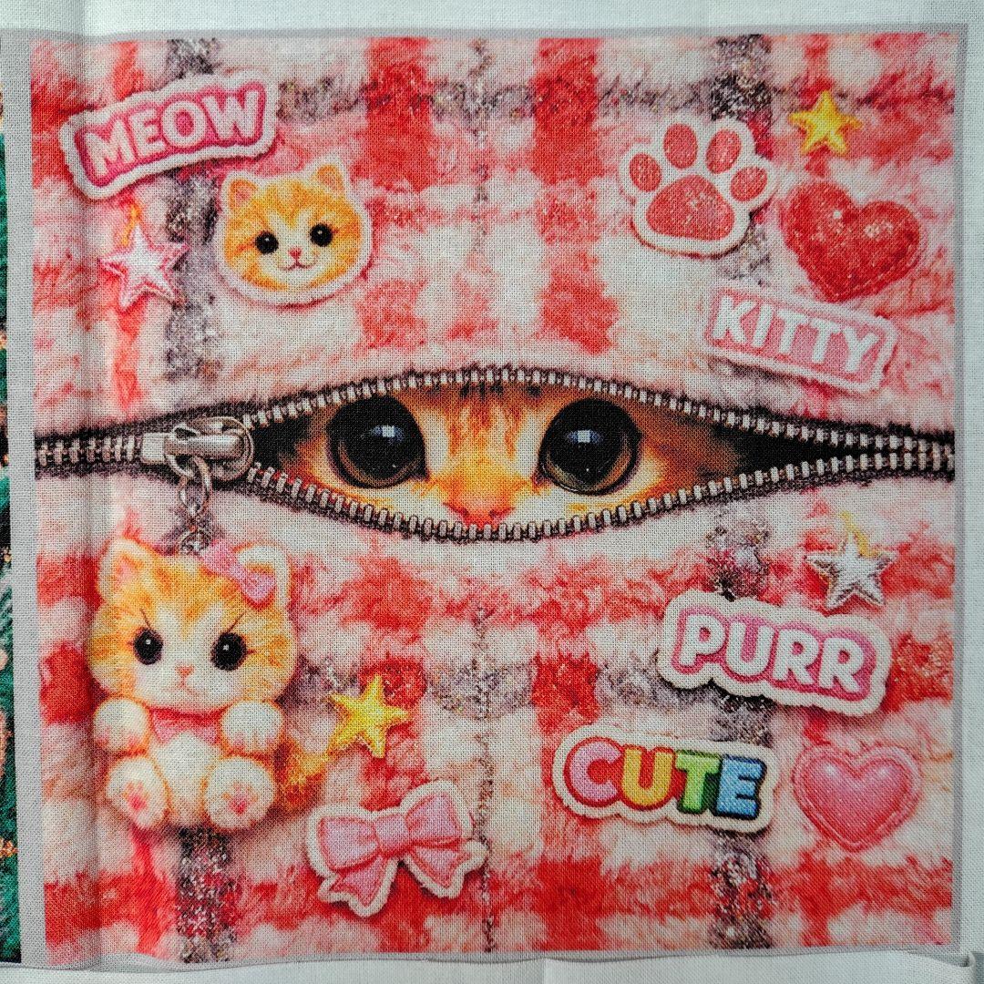 猫ちゃんパネルオーダー受付中