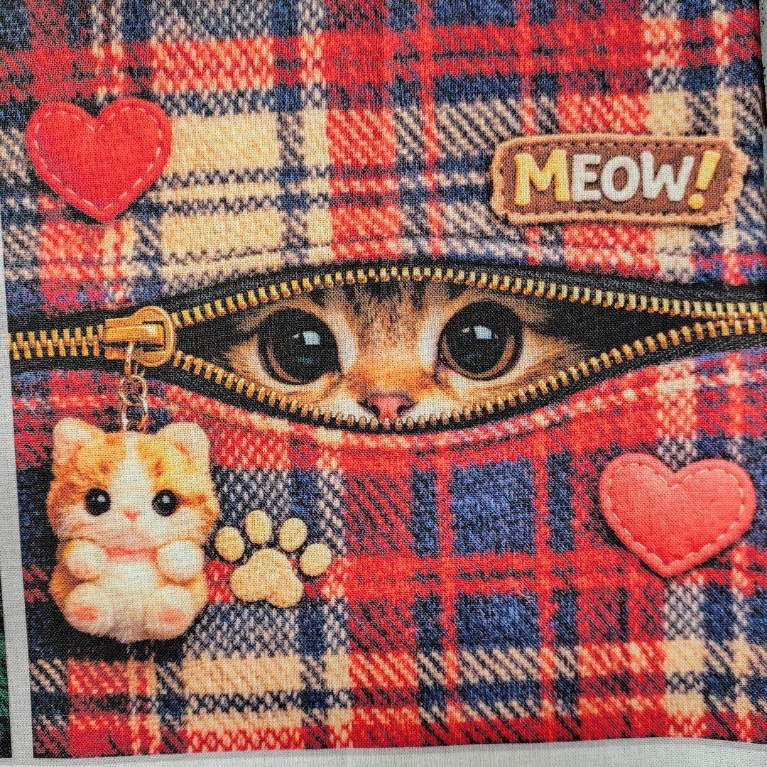 猫ちゃんパネルオーダー受付中