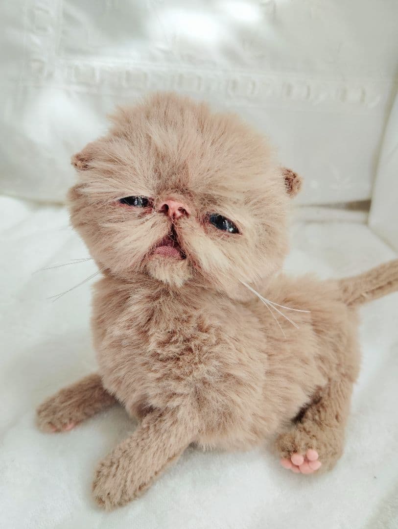 生後10日♡モカ色子猫ちゃん♡アートドール♡ぬいぐるみ♡