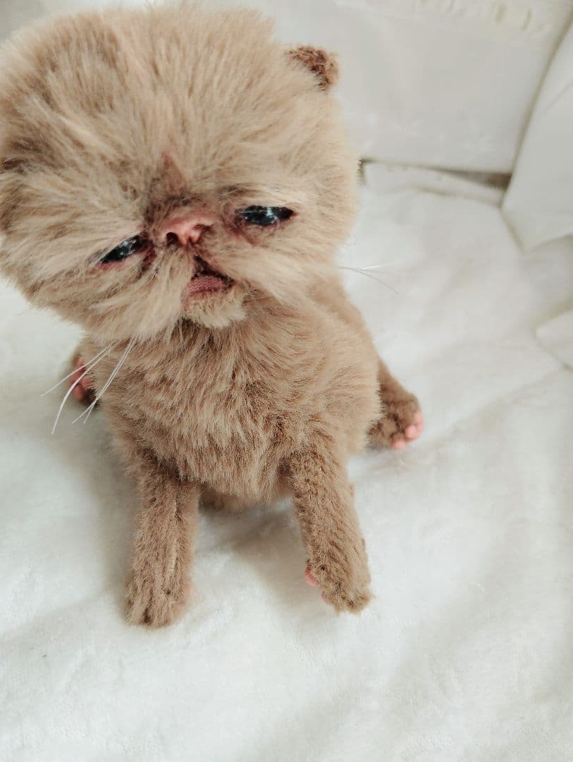 生後10日♡モカ色子猫ちゃん♡アートドール♡ぬいぐるみ♡